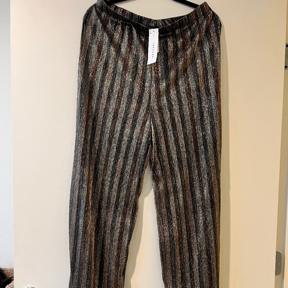 Topshop Irredesent Disco Pants!
